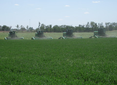 Swathers baling hay